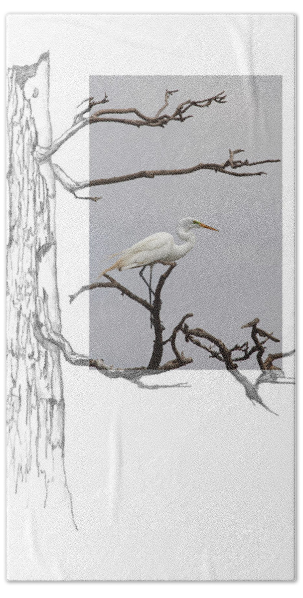 Great Egret Bath Towel featuring the photograph Great Egret - gnarled tree by Andrew McInnes