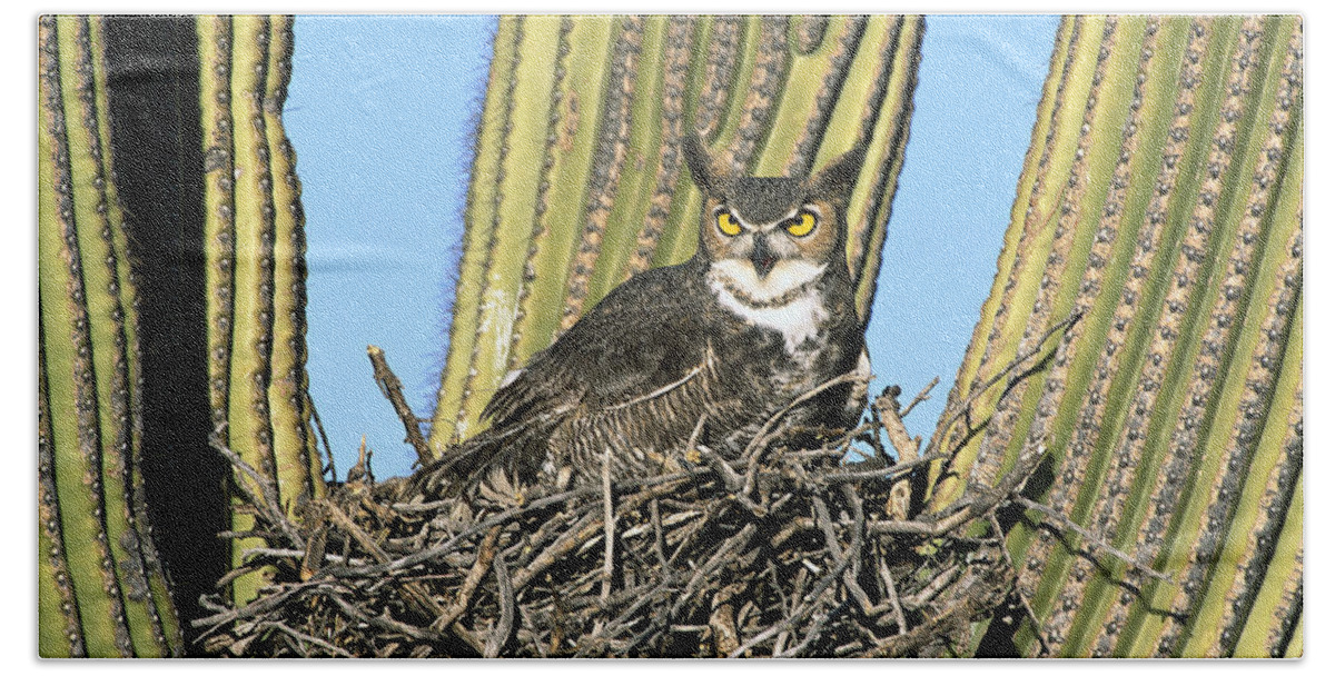00220100 Bath Towel featuring the photograph Great Horned Owl Bubo Virginianus by Tom Vezo