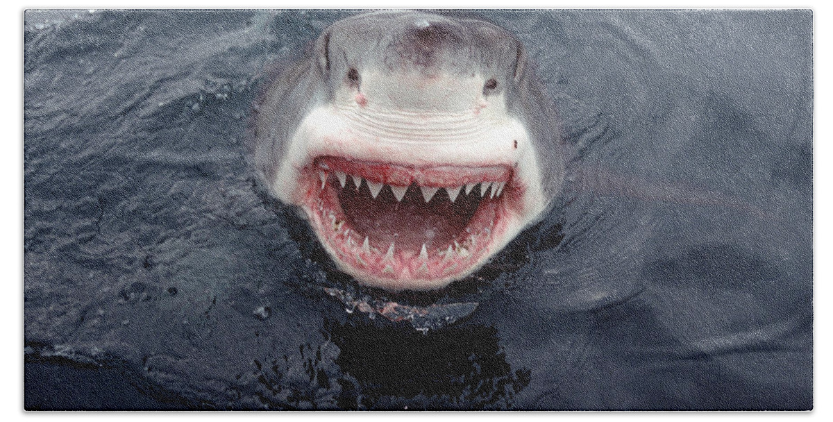 00700323 Hand Towel featuring the photograph Great White Shark Smile Australia by Mike Parry