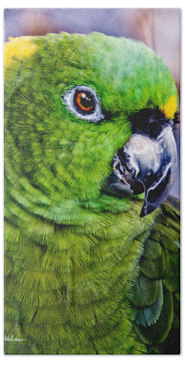 Parrot Bath Towel featuring the photograph Green Parrot by Christopher Holmes