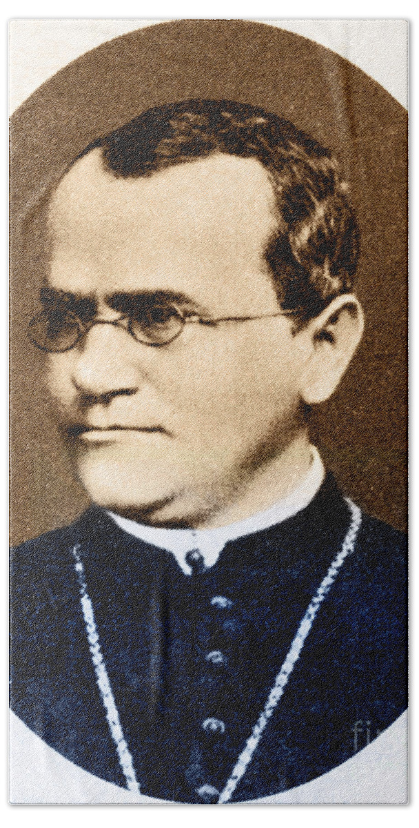 Science Hand Towel featuring the photograph Gregor Mendel, Father Of Genetics by Science Source