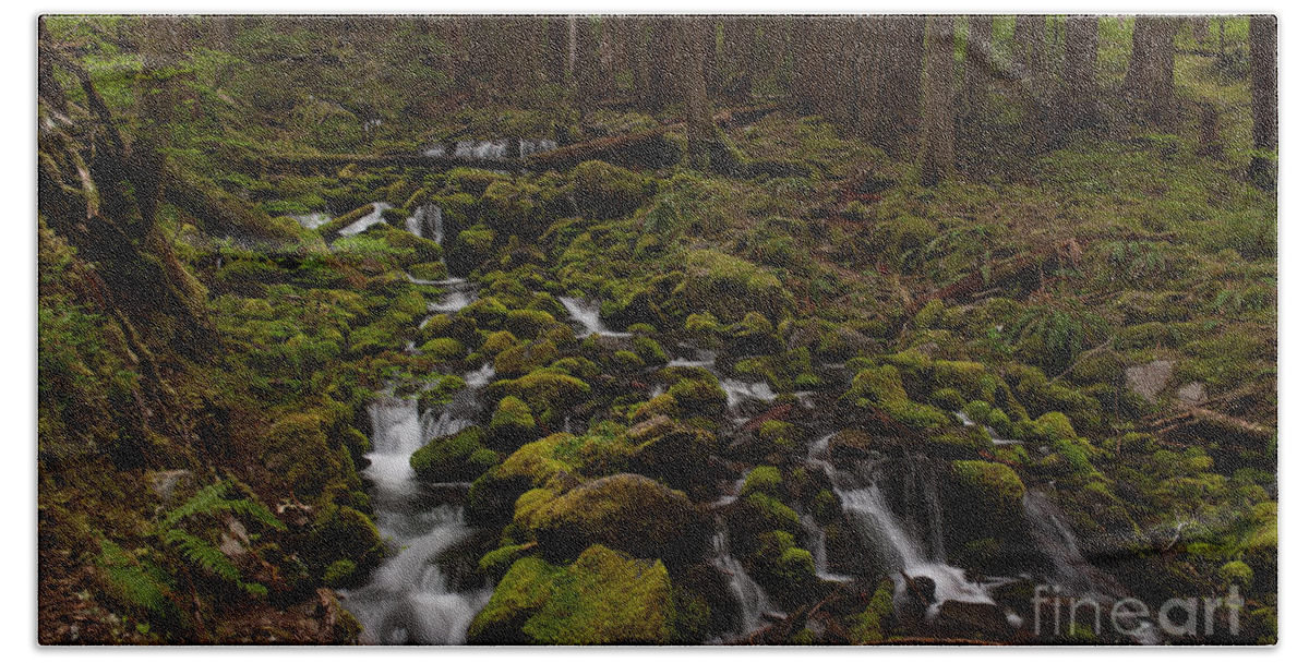 Olympic National Park Bath Towel featuring the photograph Hall of the Mosses by Mike Reid