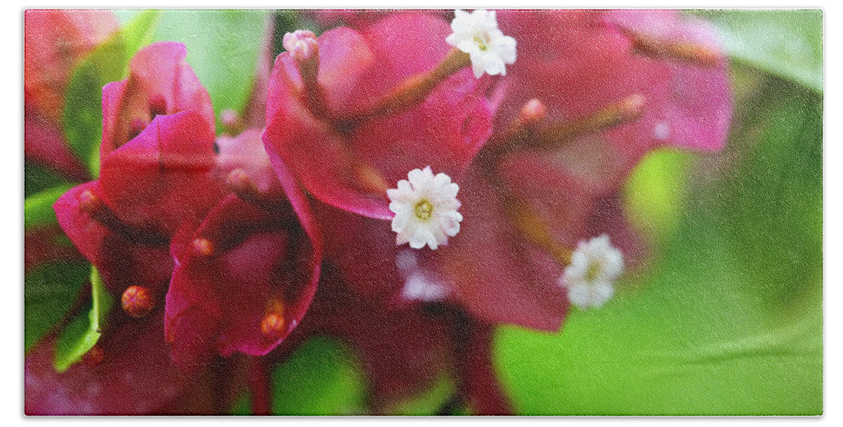 Hawaii Bath Sheet featuring the photograph Hawaiian bougainvillea by Marilyn Hunt