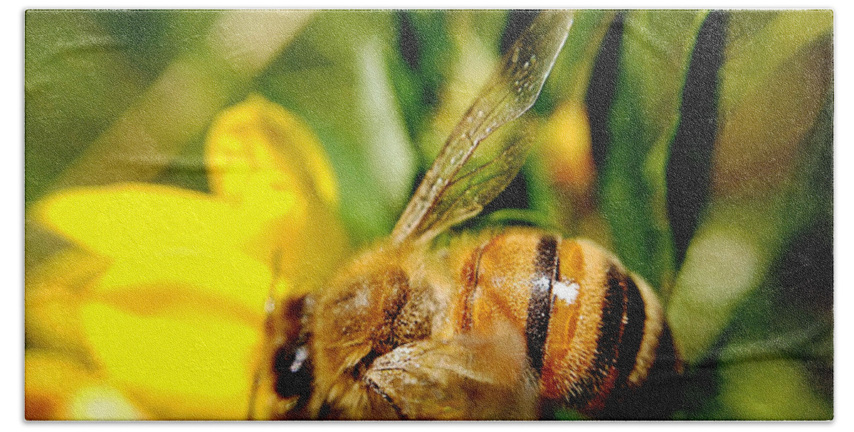 Honey Bee Bath Towel featuring the photograph Honey Bee by Chriss Pagani