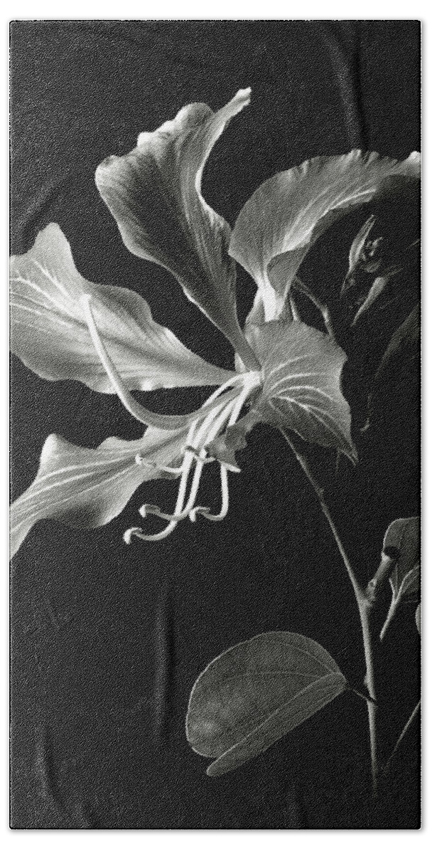 Flower Bath Towel featuring the photograph Hong Kong Orchid in black and White by Endre Balogh