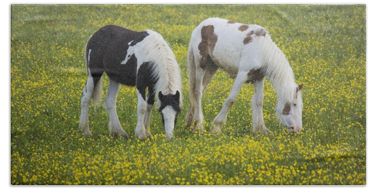 Graze Bath Towel featuring the photograph Horses Grazing, County Tyrone, Ireland by Gareth McCormack