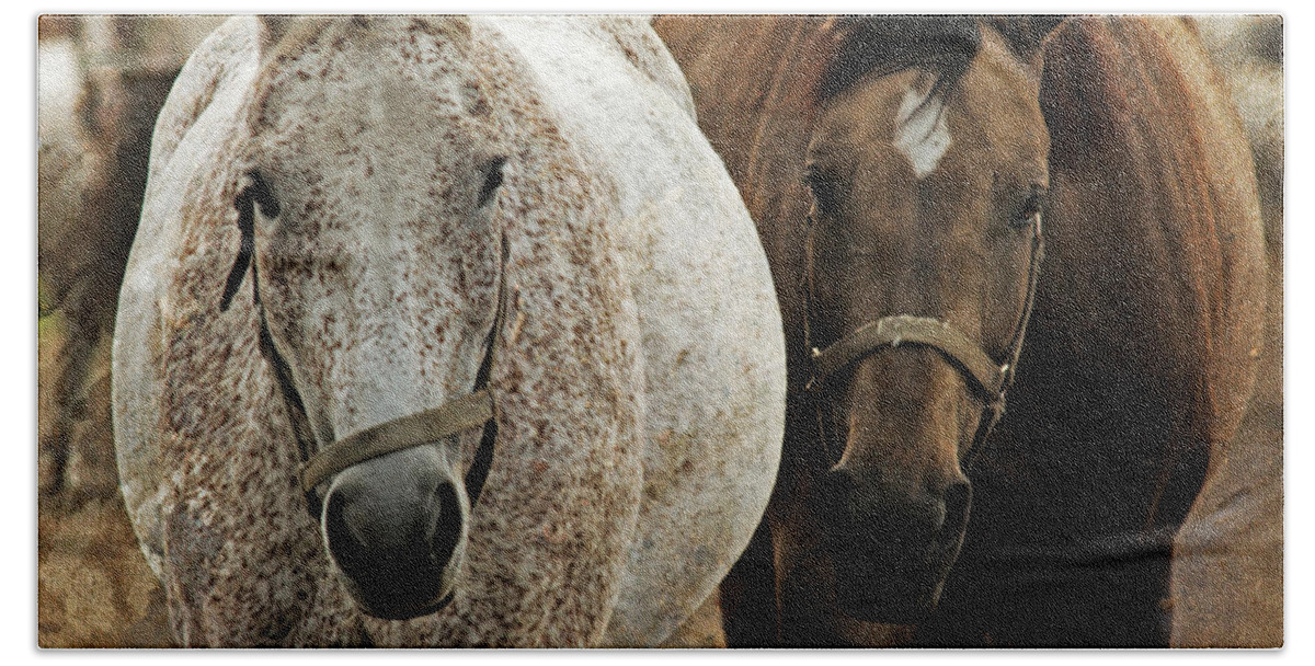  Bath Towel featuring the photograph Horses On The Paddock by Ang El