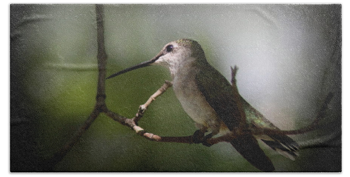 Hummingbird Hand Towel featuring the photograph Hummingbird - Under the Canopy by Travis Truelove