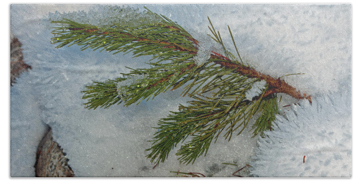 Snow Bath Towel featuring the photograph Ice Crystals and Pine Needles by Tikvah's Hope