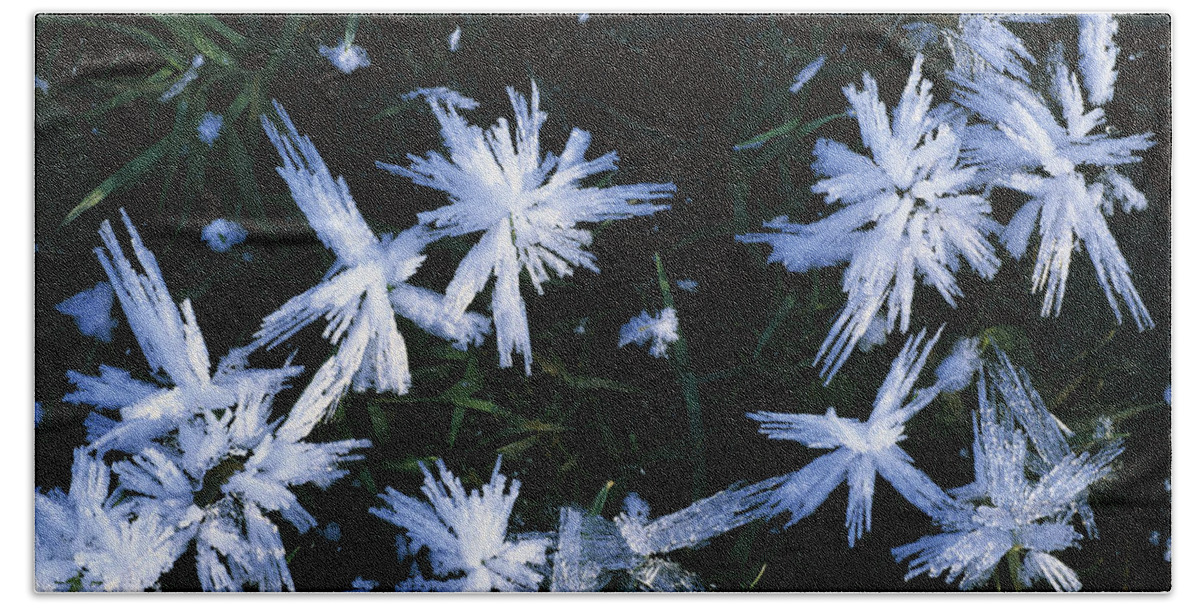 Mp Hand Towel featuring the photograph Ice Crystals On Frozen Pond, Bavaria by Konrad Wothe