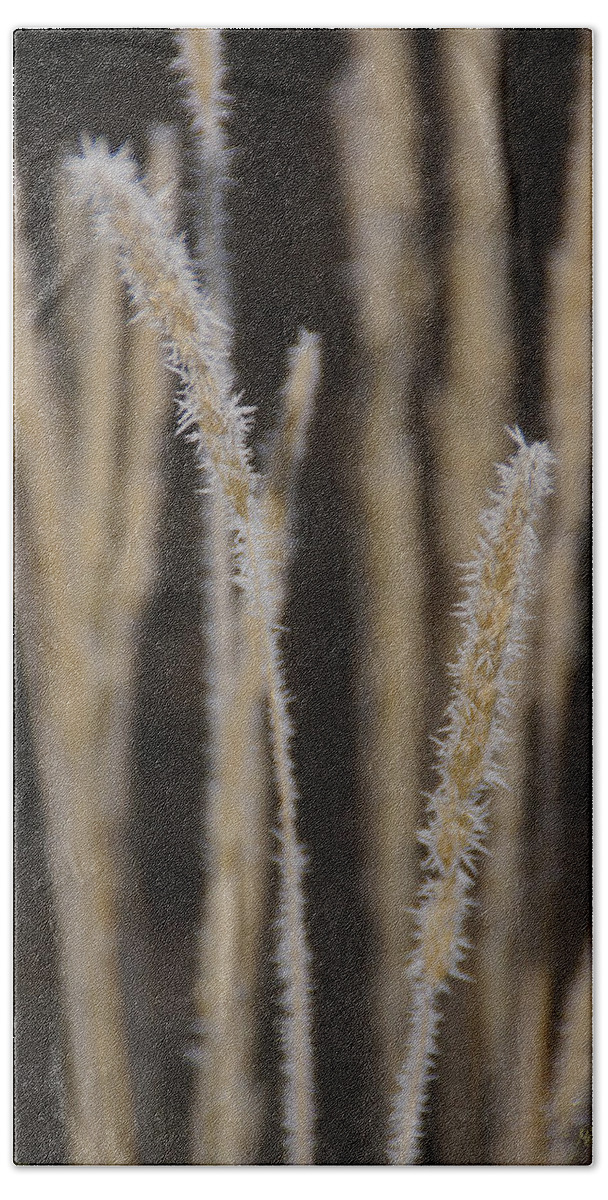 Ice Hand Towel featuring the photograph Ice Crystals on Tall Grass by Mick Anderson