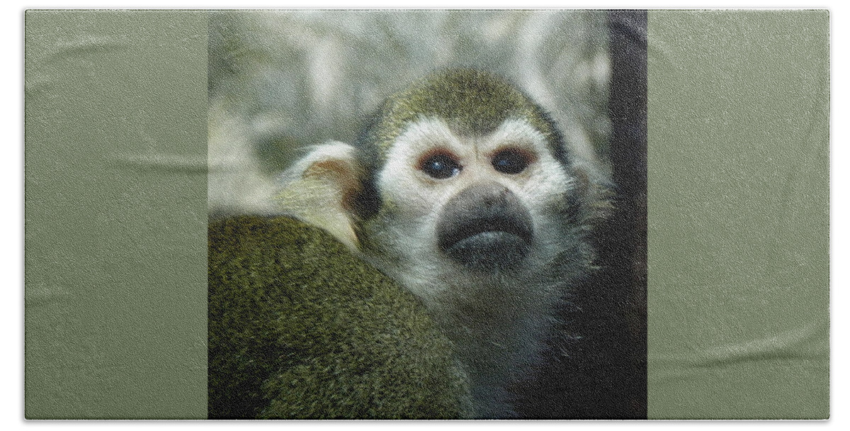 Monkey Bath Towel featuring the photograph In Thought by Kim Galluzzo Wozniak