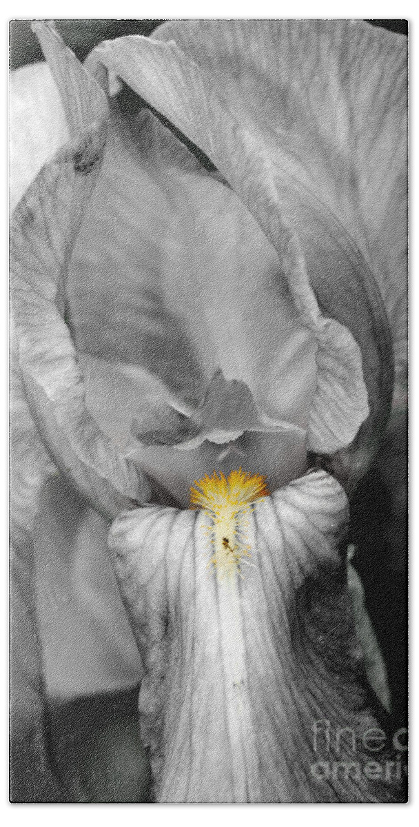 Iris Bath Towel featuring the photograph Iris - BW by Larry Carr