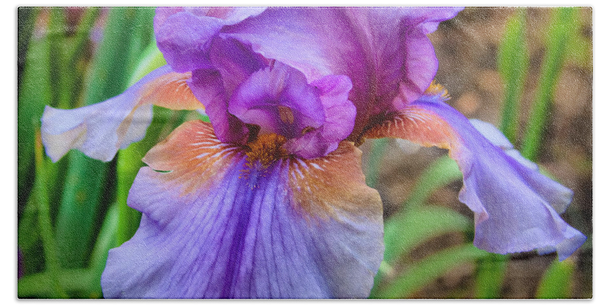 Nature Bath Towel featuring the photograph Iris by Lynne Jenkins