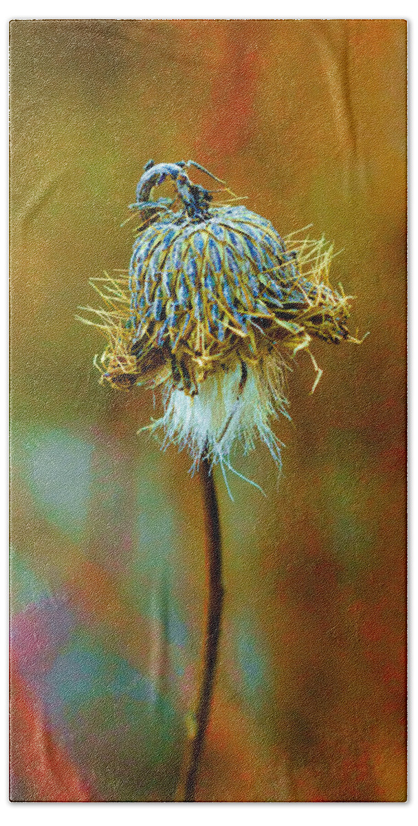 Macro Hand Towel featuring the photograph Isolated Locoweed by Bill and Linda Tiepelman