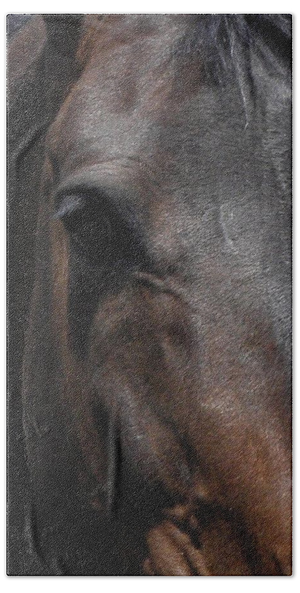 Horse Bath Towel featuring the photograph It's in the Eye by Kim Galluzzo