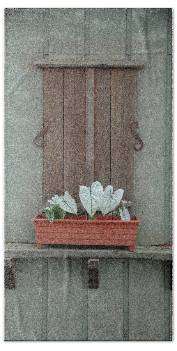 Louisiana Bath Towel featuring the photograph Juanita's Window by Ron Weathers