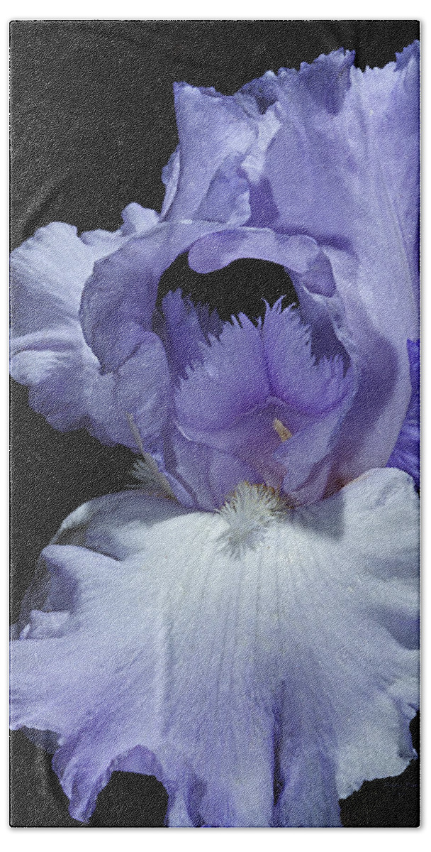 Iris Hand Towel featuring the photograph Lavender Blue Iris by Phyllis Denton