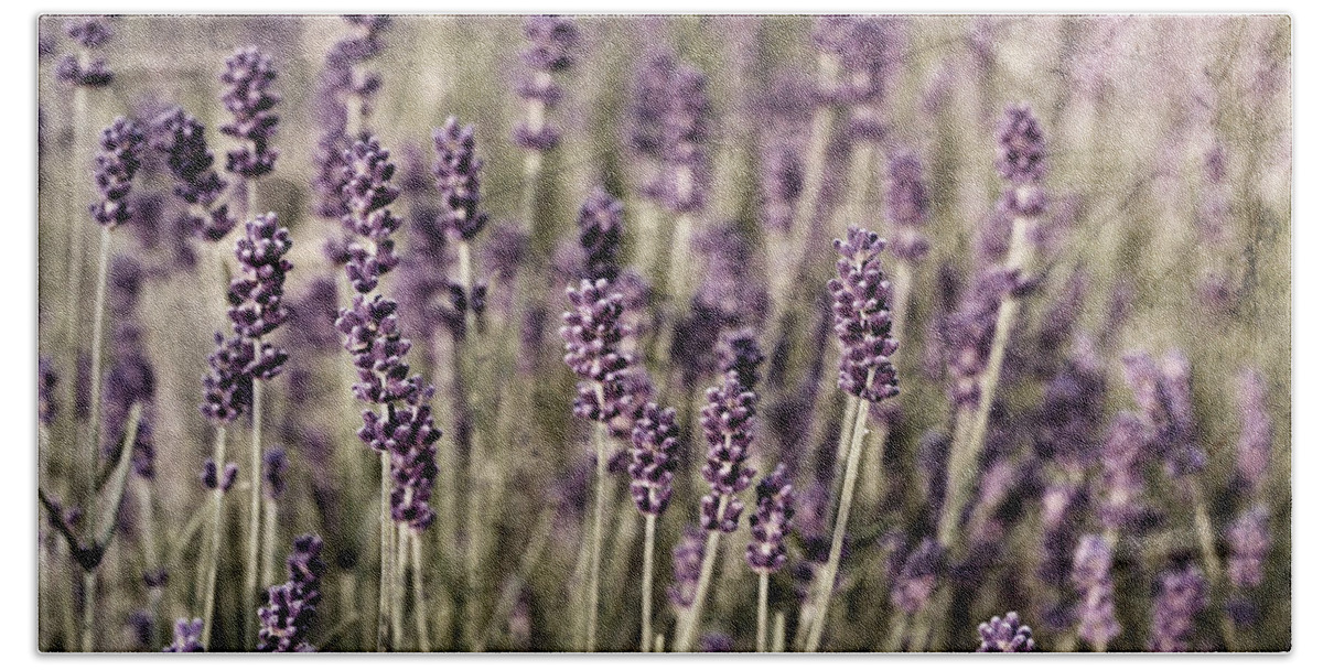 Lavender Bath Towel featuring the photograph Lavender field by Laura Melis