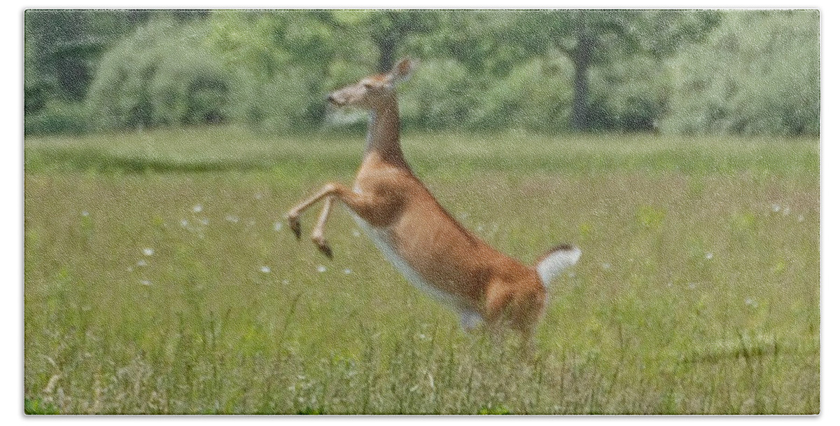 Leaping White-tail Deer Bath Towel featuring the photograph Leaping White-Tail Deer by Susan Stevens Crosby