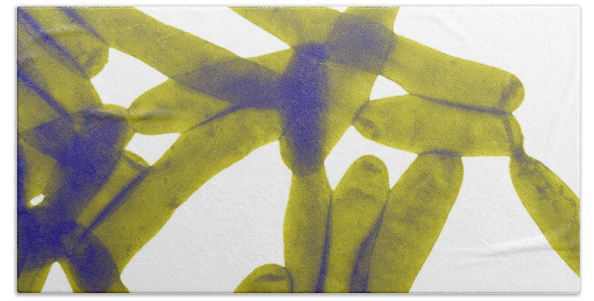 Bacteria Bath Towel featuring the photograph Legionella Pneumophila by Science Source