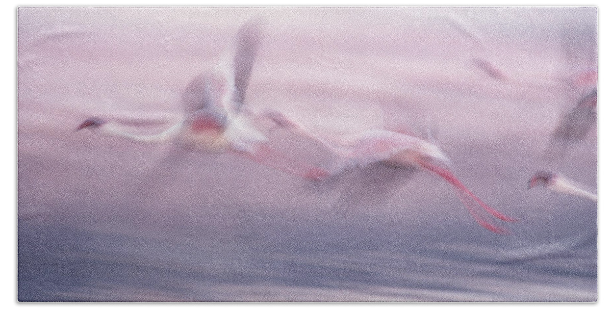 Mp Bath Towel featuring the photograph Lesser Flamingo Phoenicopterus Minor by Gerry Ellis