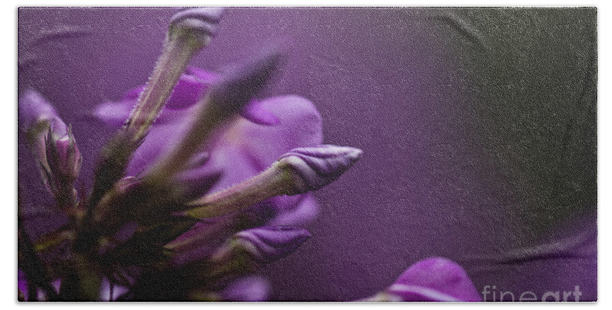 Lilac Bath Towel featuring the photograph Lilac Spirals. by Clare Bambers