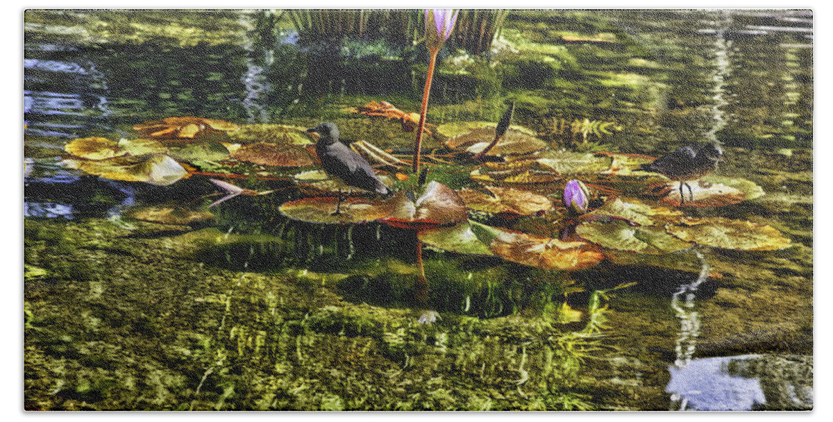 Lily Pad Hand Towel featuring the photograph Lily Pads in the Pond by Madeline Ellis