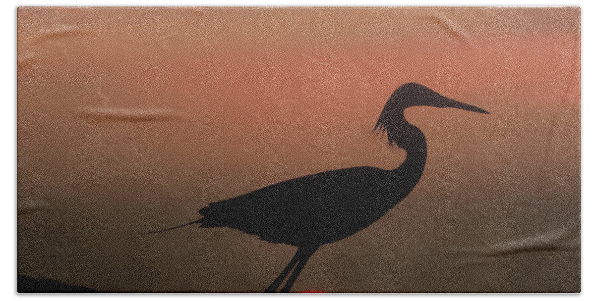 00172317 Bath Towel featuring the photograph Little Egret Silhouetted At Sunset by Tim Fitzharris