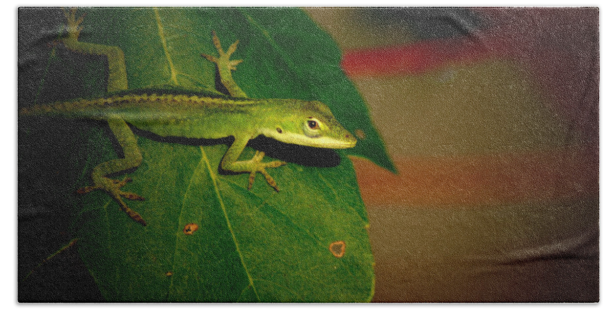 Reptile Bath Towel featuring the photograph Lizard Portrait by David Weeks