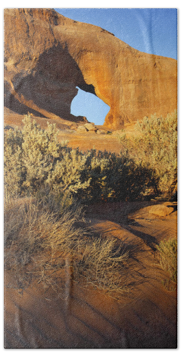 Desert Bath Towel featuring the photograph Looking Glass by Mike McGlothlen
