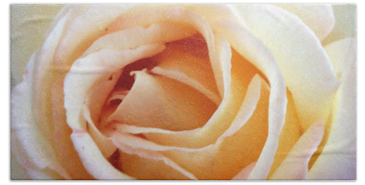Roses Hand Towel featuring the photograph Love unfurling by Vonda Lawson-Rosa