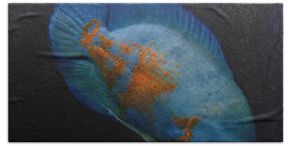 Ccolette Bath Towel featuring the photograph Magic Fish Name Oscar by Colette V Hera Guggenheim