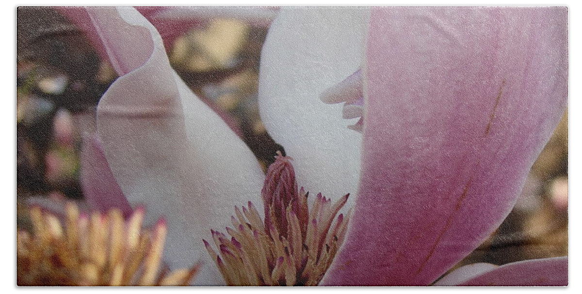 Magnolia Bath Towel featuring the photograph Magnolia by Cassie Peters
