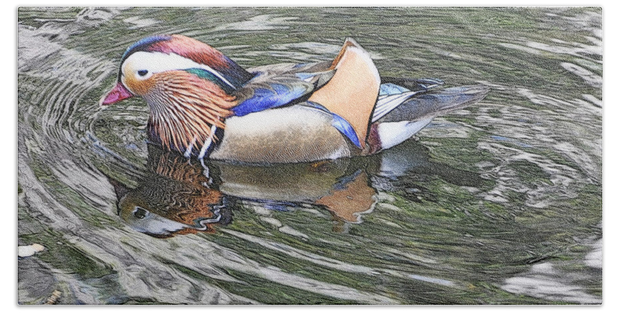 Ducks Hand Towel featuring the photograph Mandarin Duck by Lydia Holly
