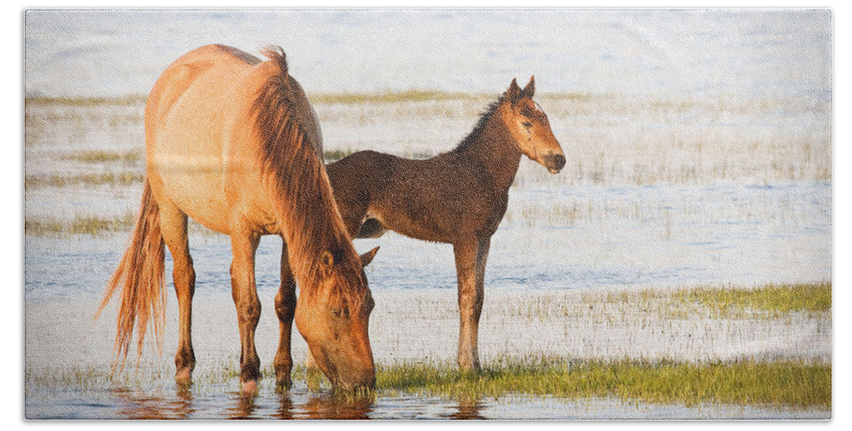 Wild Bath Towel featuring the photograph Mare and Foal by Bob Decker