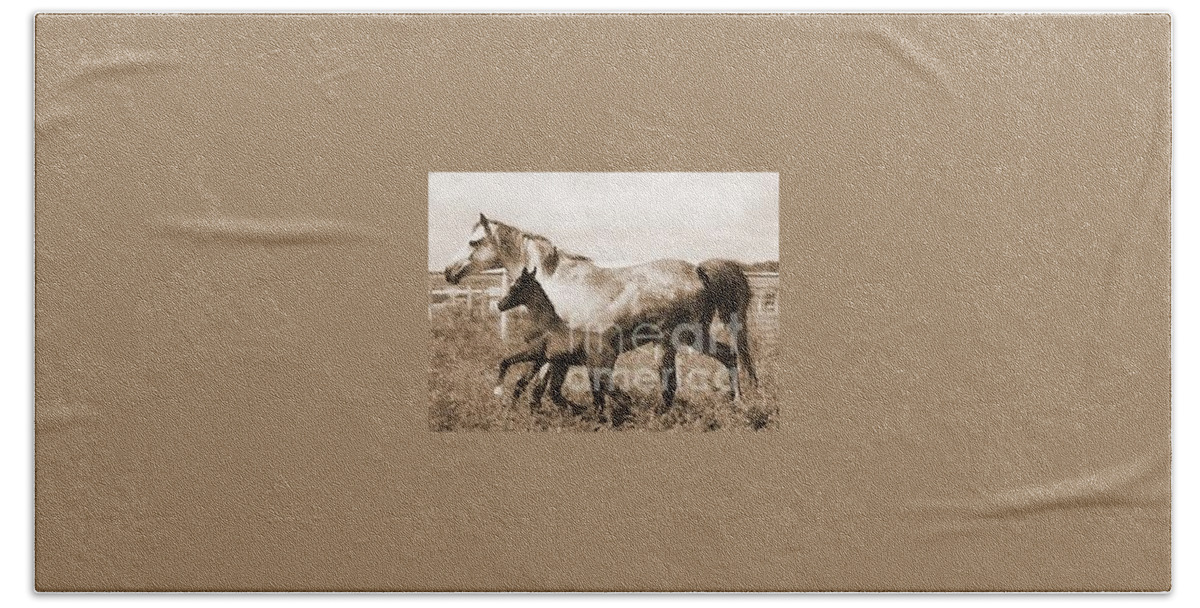 Mare Hand Towel featuring the photograph Mare and Foal by Vonda Lawson-Rosa