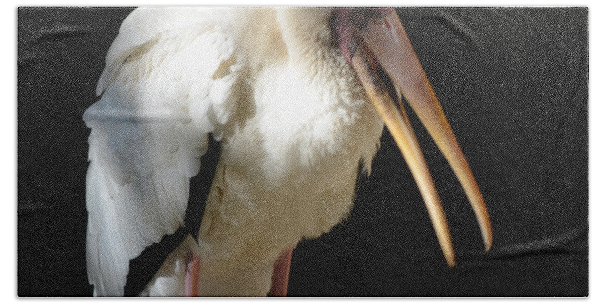 Milk Bath Towel featuring the photograph Milky Stork by Maggy Marsh