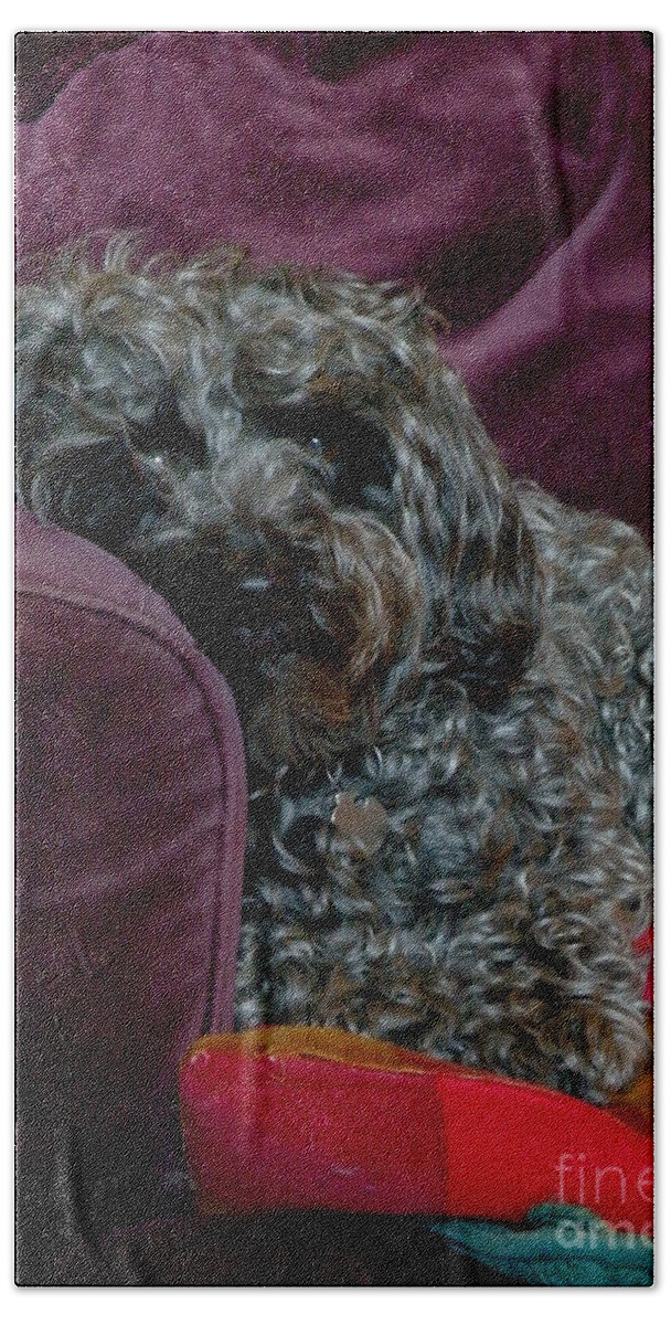 Dog Hand Towel featuring the photograph Millie by Lainie Wrightson