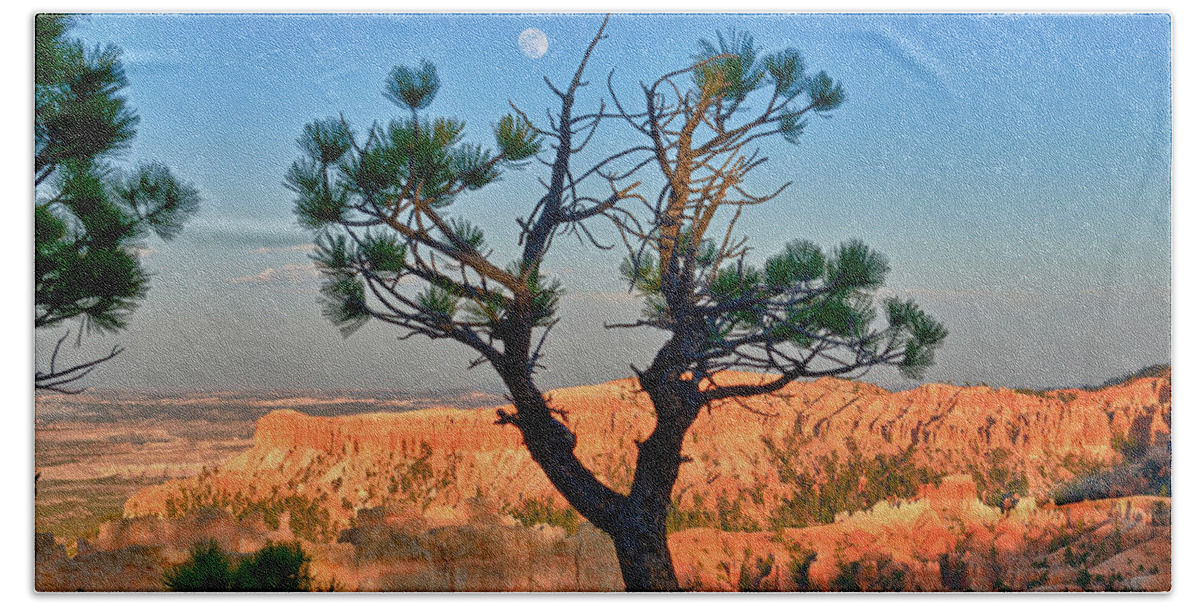 Bryce Canyon Bath Towel featuring the photograph Moon Over Bryce Canyon by Greg Norrell