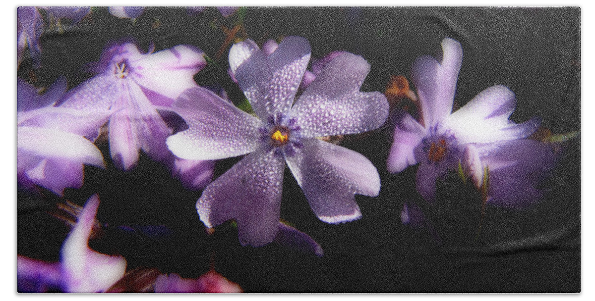 Flower Hand Towel featuring the photograph Morning Dew Creeping Phlox 2 by Ms Judi