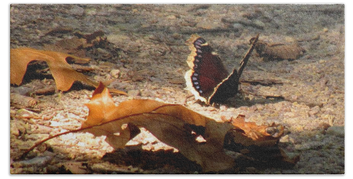 Mourning Cloak Butterfly Bath Sheet featuring the photograph Mourning Cloak by Marilyn Smith