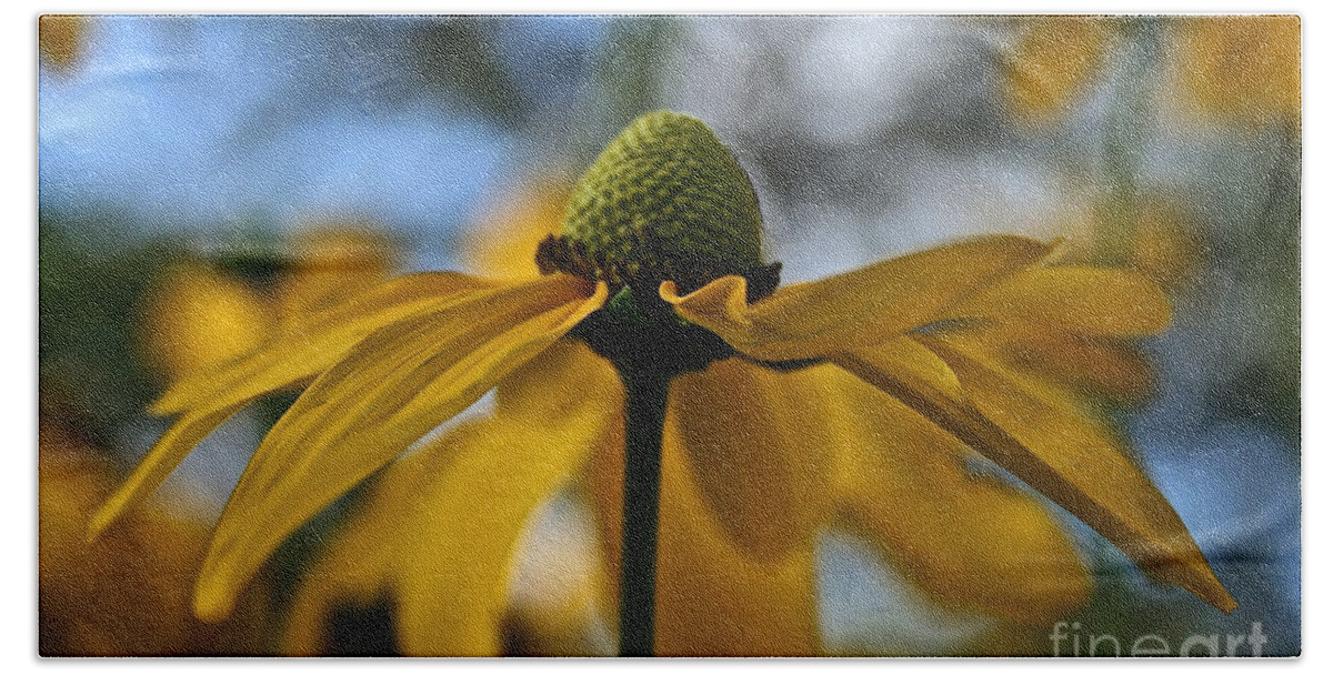 Plant Bath Sheet featuring the photograph New Cone Flower by Susan Herber