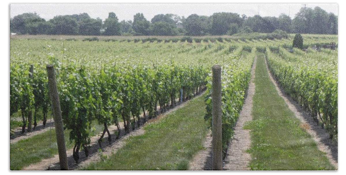 Vineyards Bath Towel featuring the photograph Newport Vineyards by Kim Galluzzo