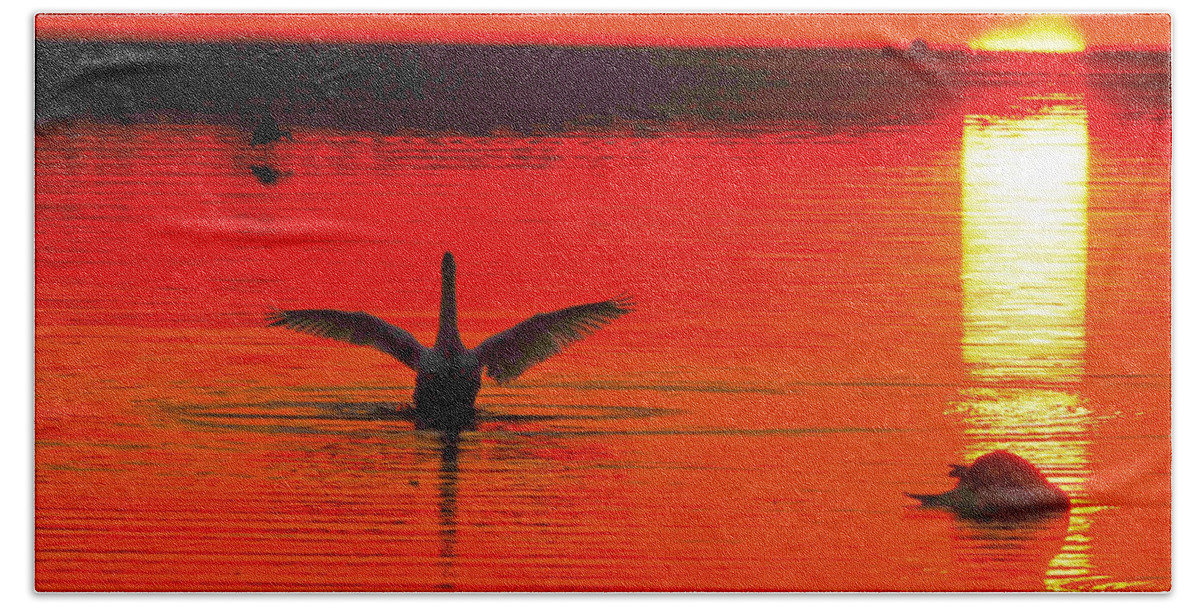 Swans At Dawn Hand Towel featuring the photograph Nice Morning To Get Up by Randall Branham
