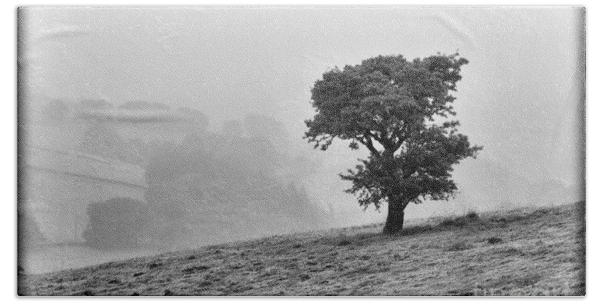 Black And White Bath Towel featuring the photograph Oak tree in the Mist. by Clare Bambers