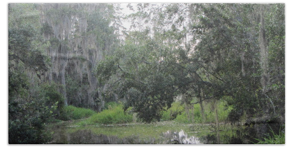 Swamp Moss Hand Towel featuring the photograph Okefenokee Swamp 14 by Cathy Lindsey