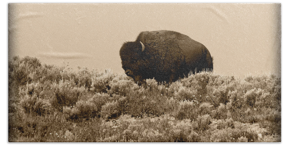 Buffalo Bath Towel featuring the photograph Old Timer by Shane Bechler
