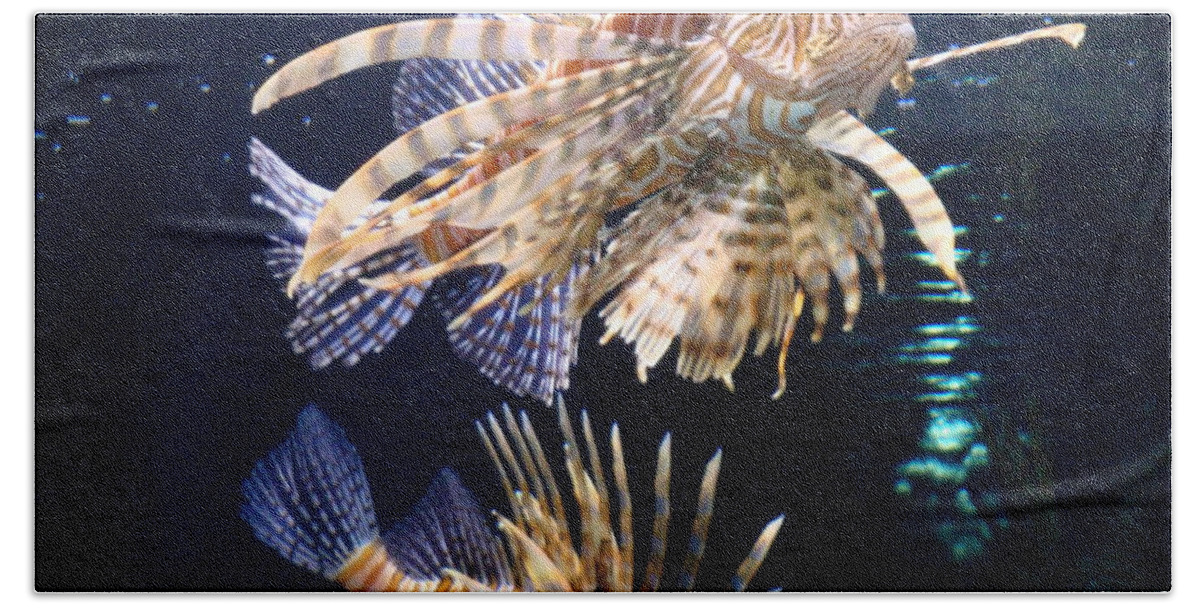 Lionfish Hand Towel featuring the photograph On the Prowl by Vonda Lawson-Rosa