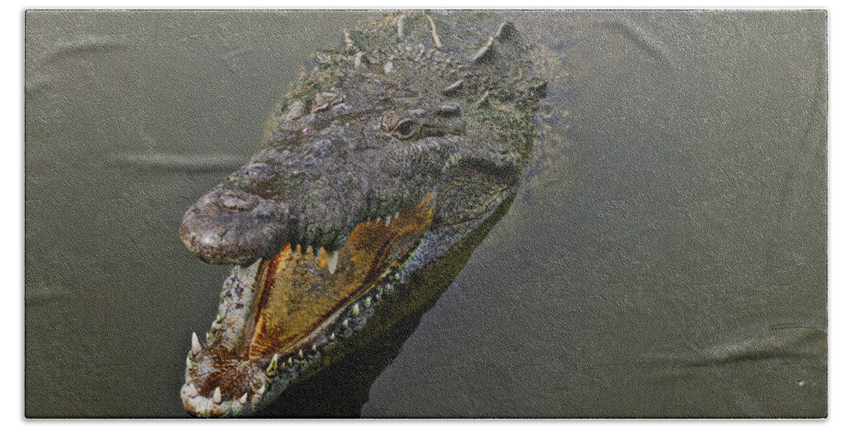Crocodile Hand Towel featuring the photograph Open wide by Garry Gay